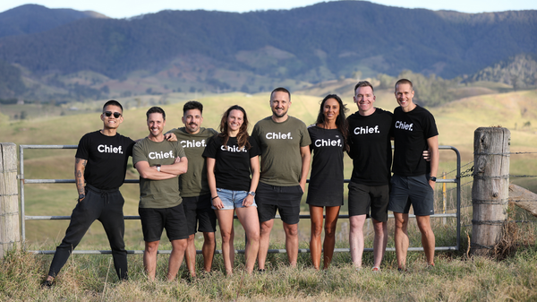 New In: ✨Chief Nutrition ✨